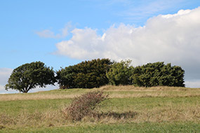 South Downs National Park